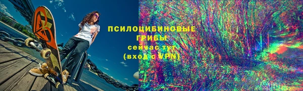 гидропоника Белокуриха