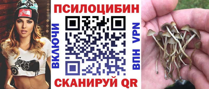 Псилоцибиновые грибы ЛСД  магазин  наркотиков  Козьмодемьянск 